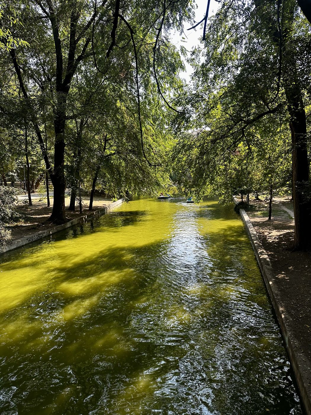 A leafy canal glowing green in Cișmigiu Gardens, Bucharest, with paddle boats in the distance